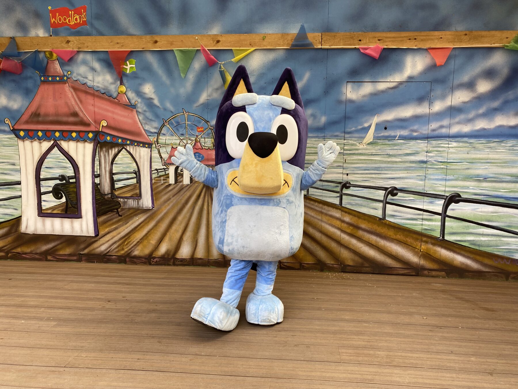 Meet Bluey At Woodlands On August Th