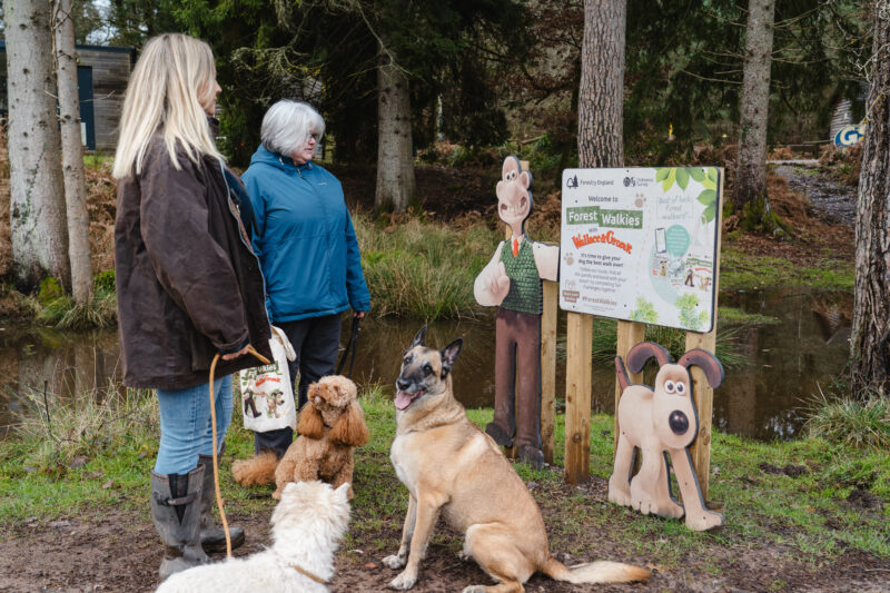 Walkers and their dogs read a Forest Walkies trail panel