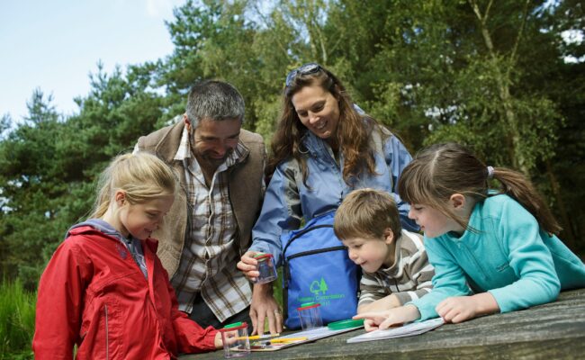 A family gather round the Forest Activity Bag on a picnic table