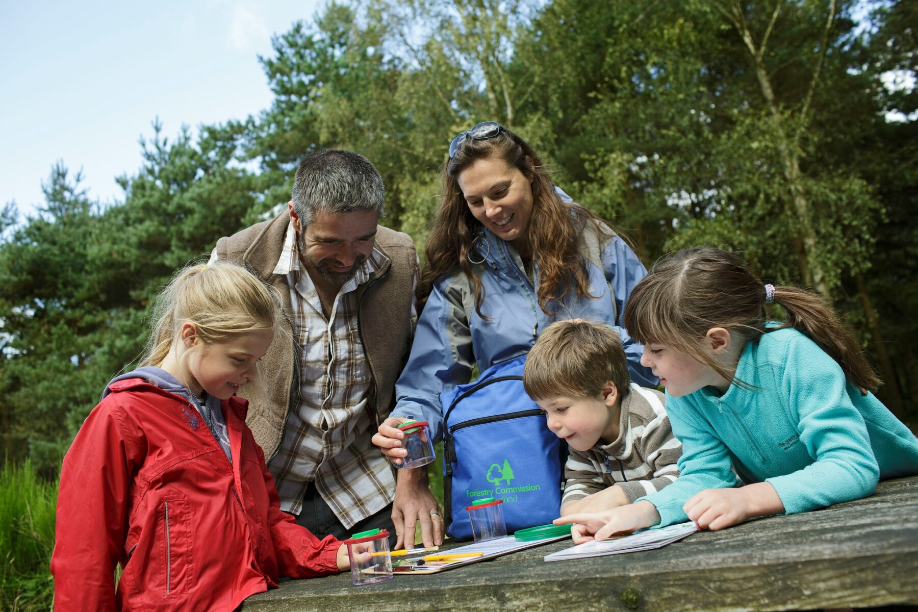 NEW family activities at Haldon Forest Park