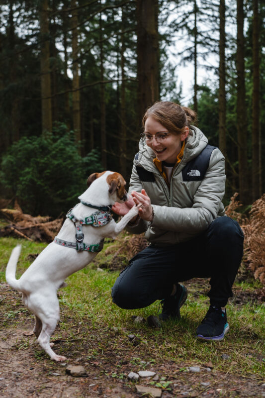 A small dog high fives its owner