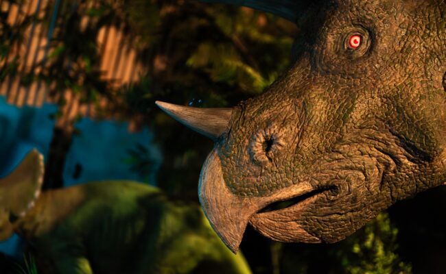 Triceratops at Jurassic Discovery