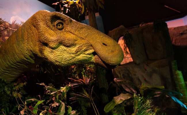 Edmontosaurus at Jurassic Discovery