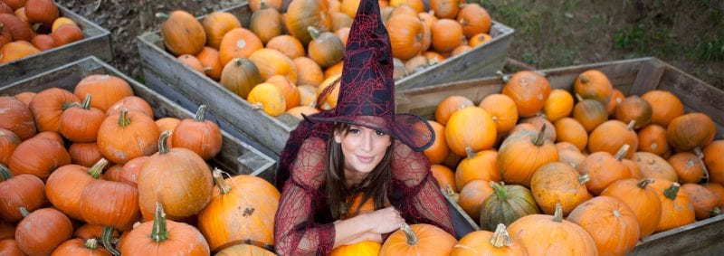 Witch in amongst the pumpkins at Big Sheep