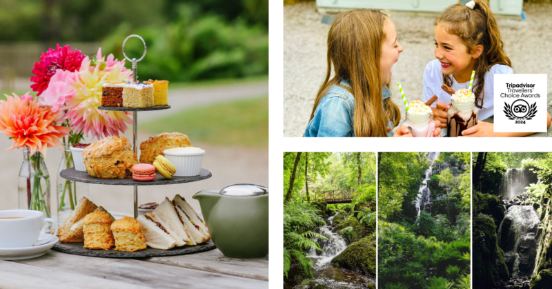 Canonteign Falls gift voucher