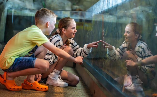 National Marine Aquarium