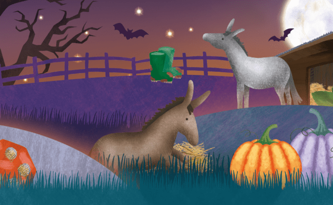 Donkey Sanctuary at Halloween