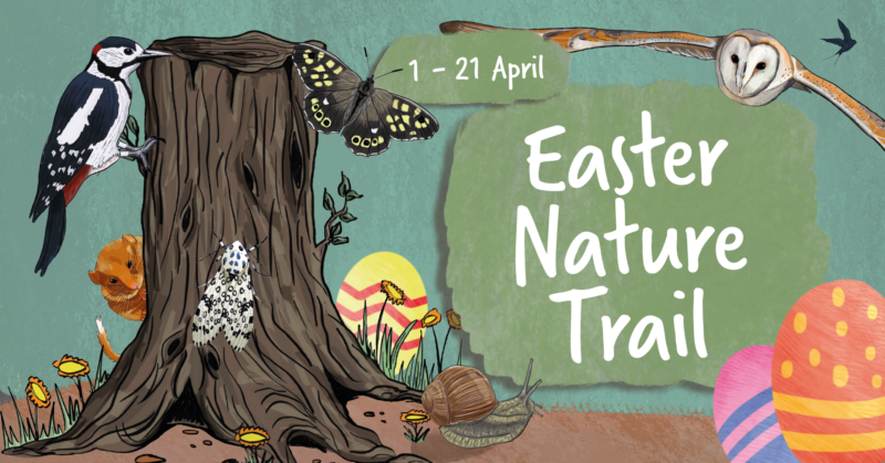 EasterTrail