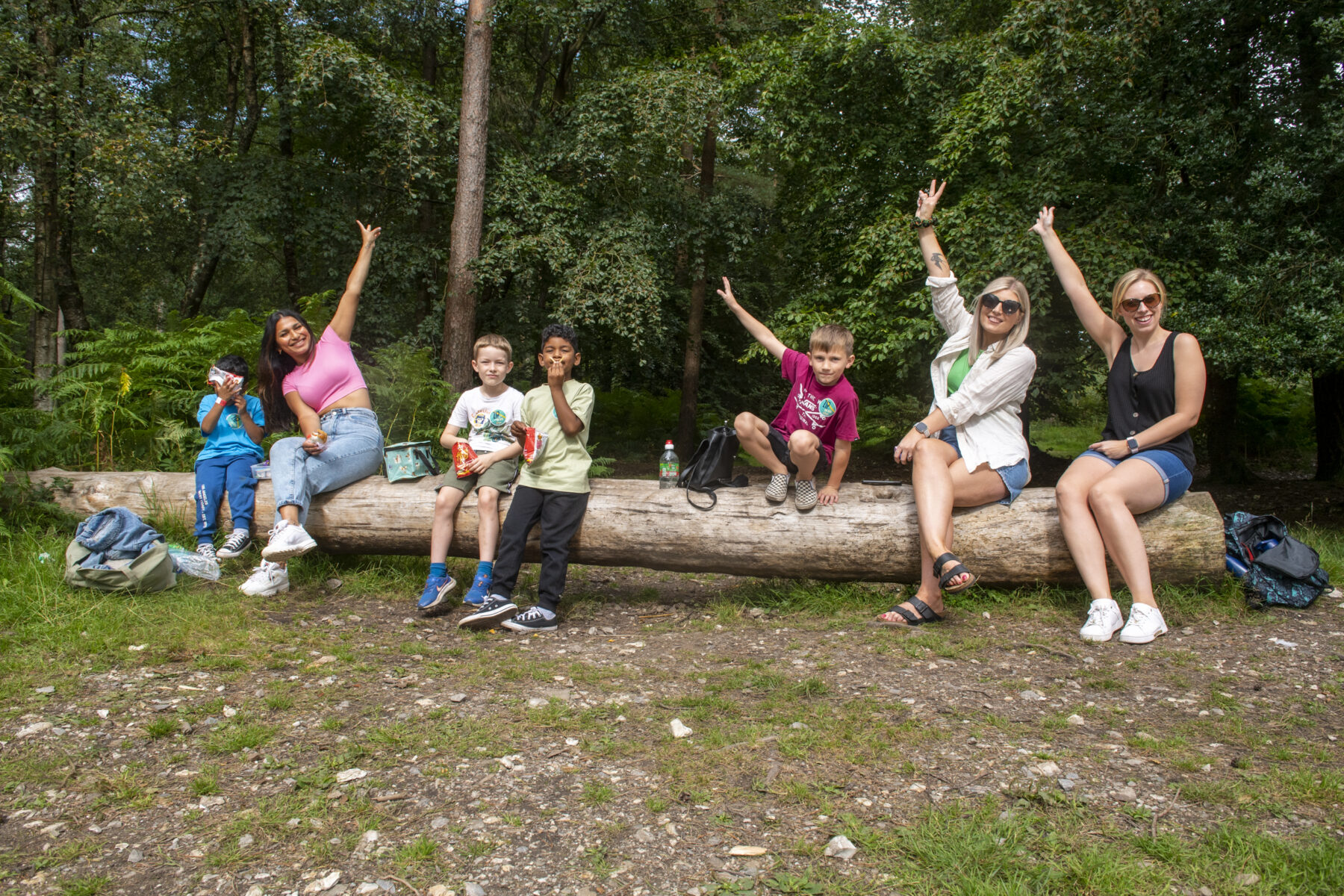 Five reasons to visit Haldon Forest Park on your summer break