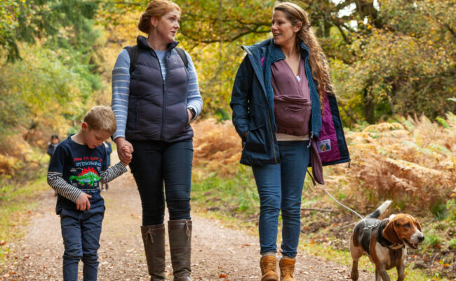 Two adults and a child walking with a dog on a forest road