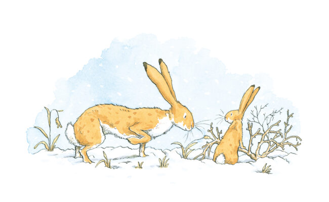 The Nutbrown Hares exploring in winter