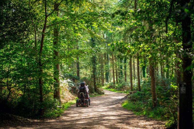 Mobility scooter user in a dappled shady forest