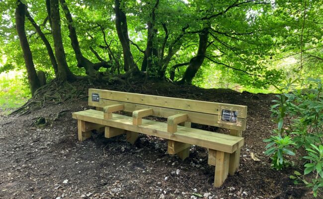 Accessible bench