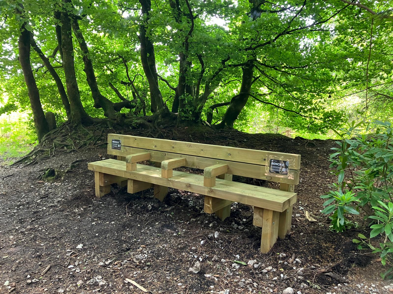 Accessible benches on trial at Haldon Forest Park | Devon's Top ...