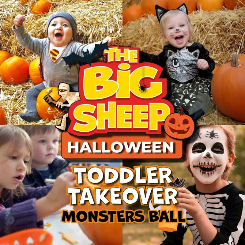 Halloween-Fun at Big Sheep