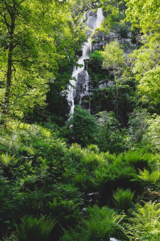 Canonteign Falls