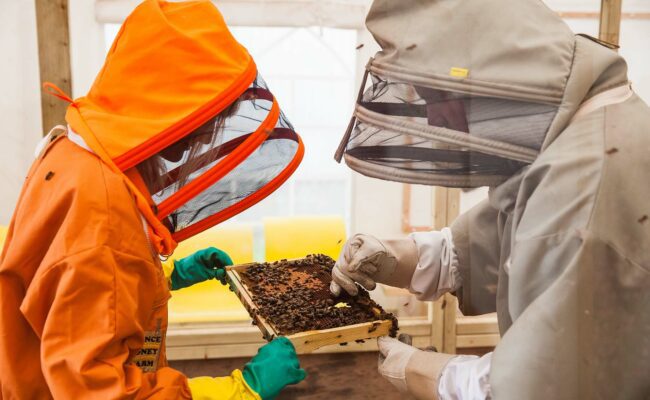 Quince Honey Farm Bee Keeping