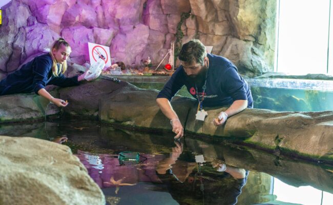 National Marine Aquarium