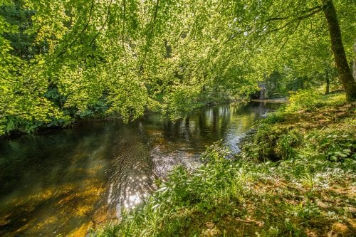 The Top 5 Most Instagrammable Locations at River Dart Country Park