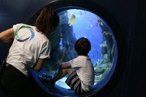 The National Marine Aquarium