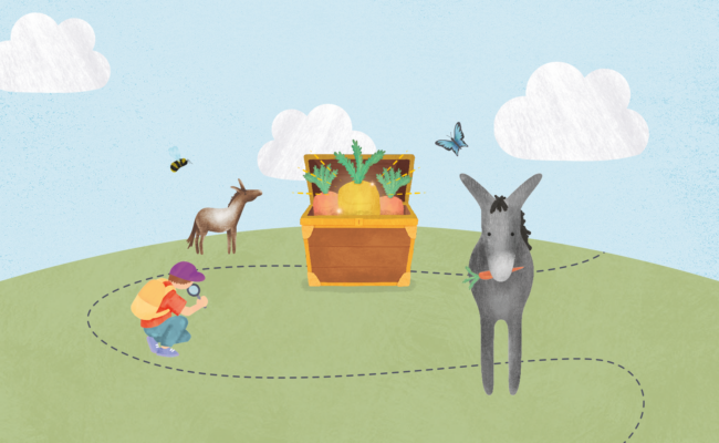 illustration of treasure chest and donkey