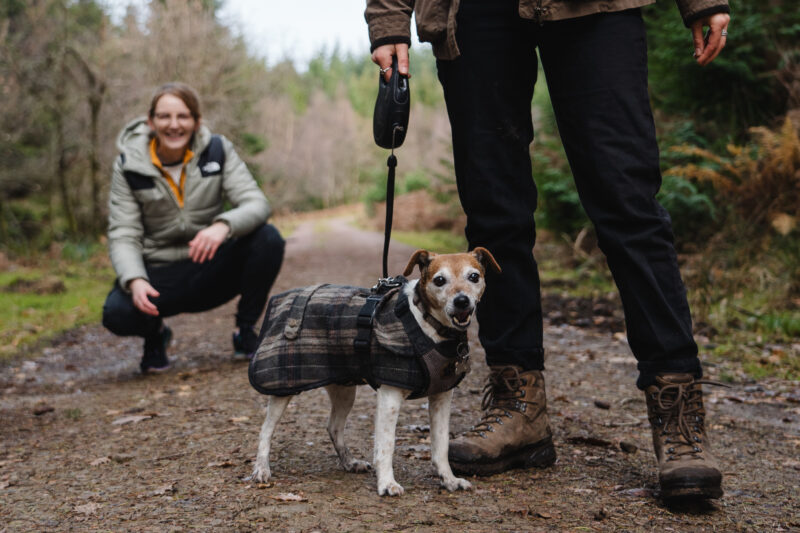 Two walkers and a small dog in the forest