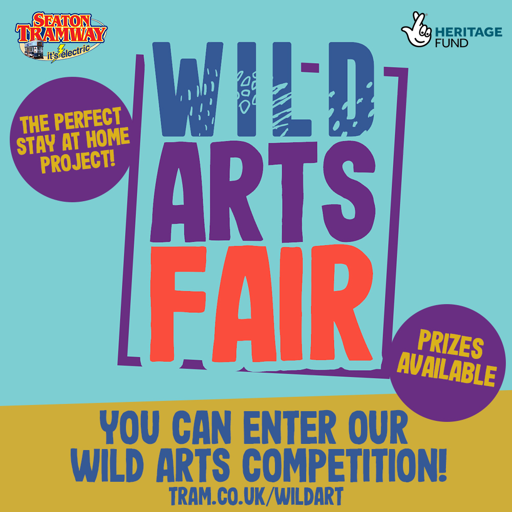 Wild Arts Fair & Competition