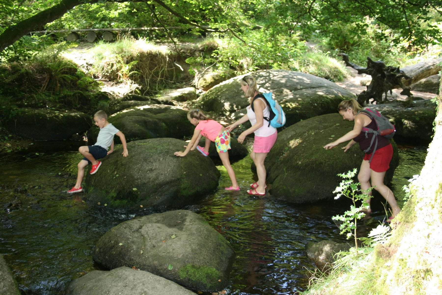 Mothers Day at Becky Falls