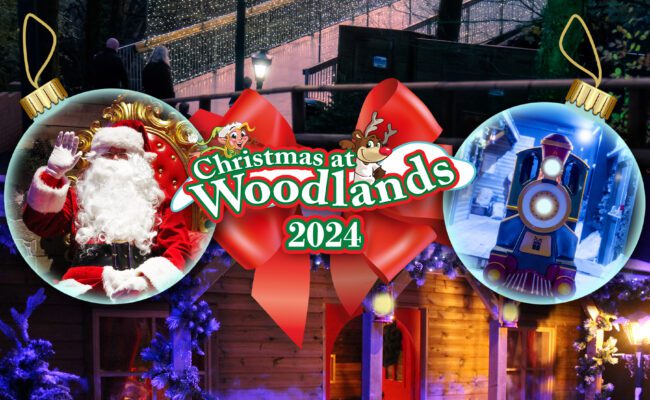 Xmas at Woodlands 2024