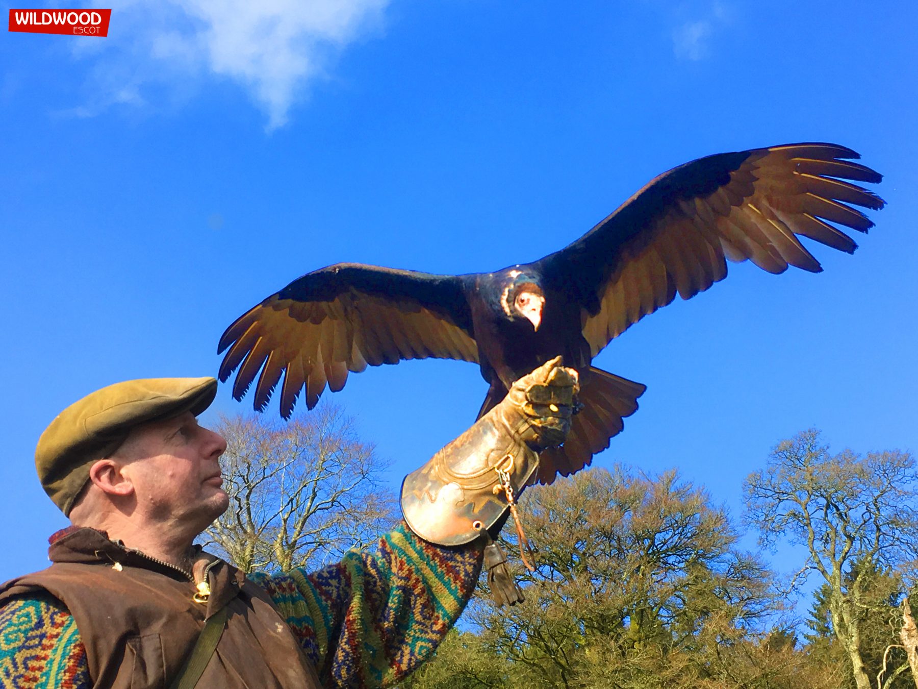 May Half Term Activities at Wildwood Escot, Devon