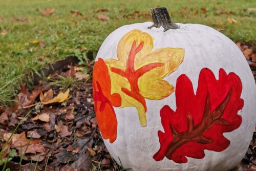 painted-pumpkin Rosemoor